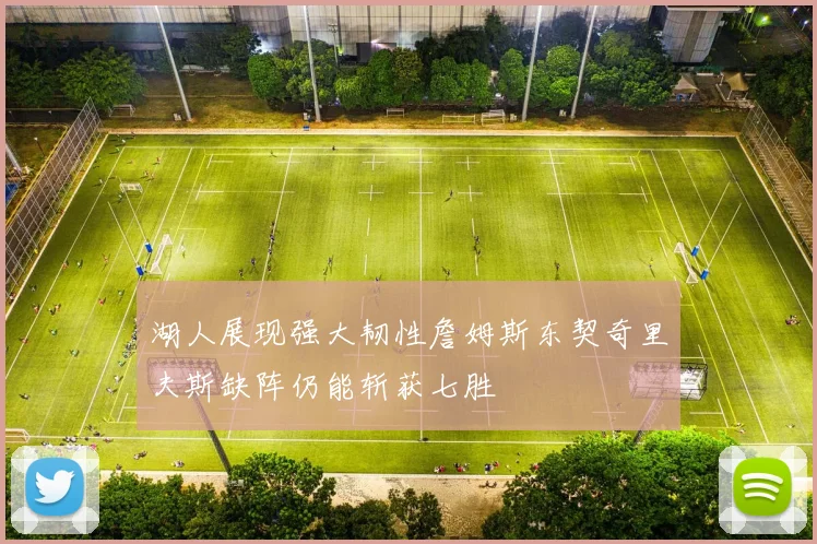 湖人展现强大韧性詹姆斯东契奇里夫斯缺阵仍能斩获七胜